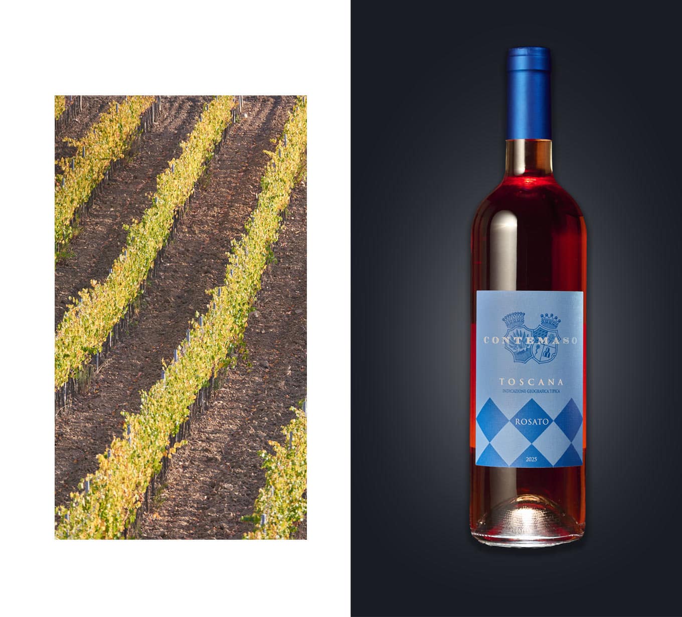 Vino Contemaso rosè 2025